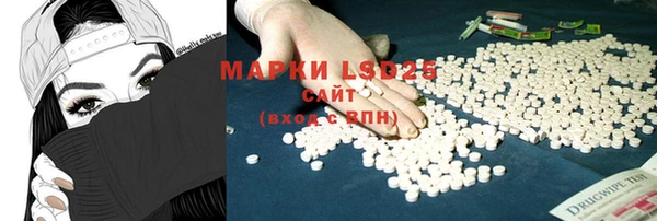 PSILOCYBIN Беломорск