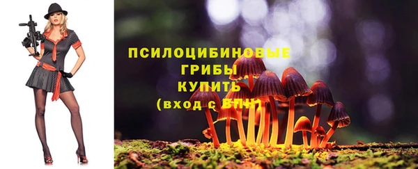 PSILOCYBIN Беломорск