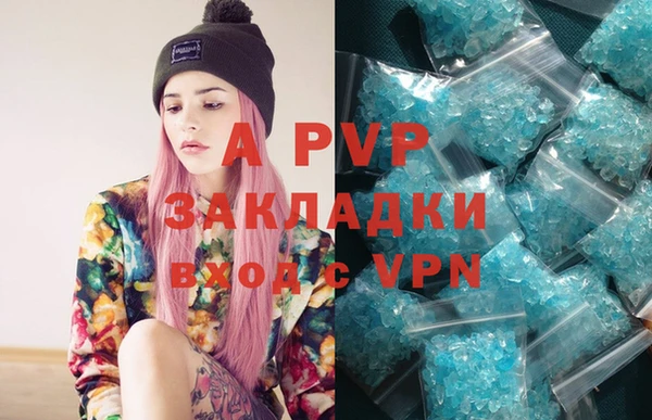 PSILOCYBIN Беломорск