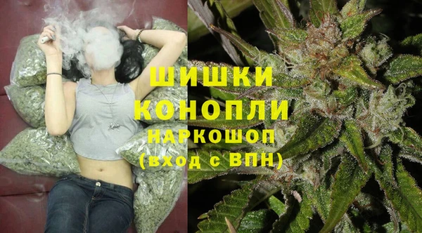 PSILOCYBIN Беломорск