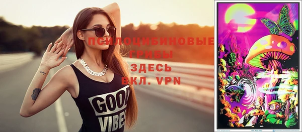 PSILOCYBIN Беломорск