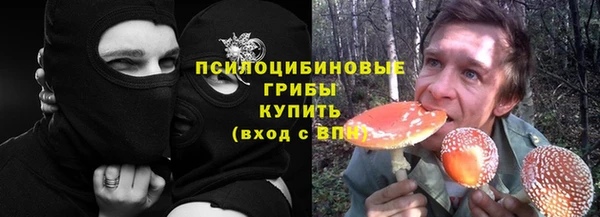 PSILOCYBIN Беломорск